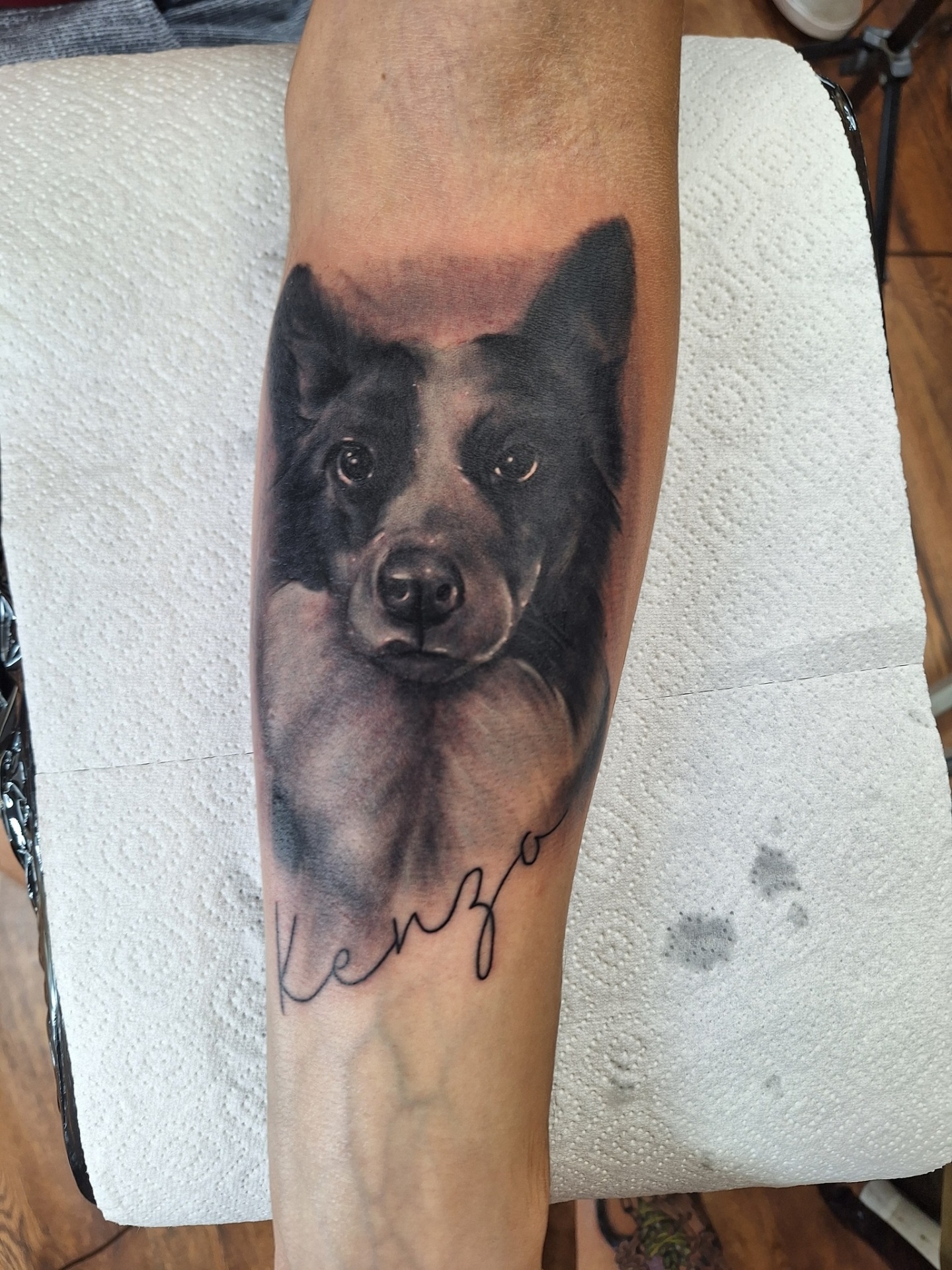 Rad iz Marley Tattoo & Piercing studija u Poreču
